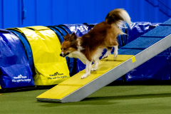 2023-AADTC-April-Trial-658