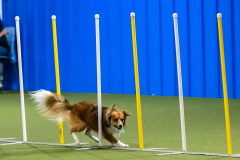 2023-AADTC-April-Trial-660