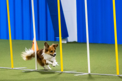 2023-AADTC-April-Trial-662