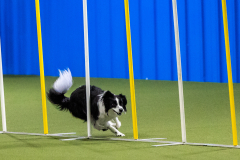 2023-AADTC-April-Trial-666