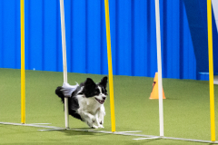 2023-AADTC-April-Trial-671