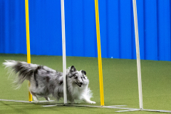 2023-AADTC-April-Trial-676