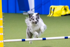 2023-AADTC-April-Trial-679