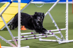 2023-AADTC-April-Trial-681