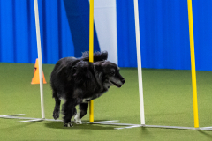 2023-AADTC-April-Trial-686