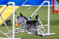 2023-AADTC-April-Trial-688