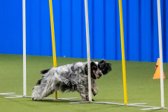 2023-AADTC-April-Trial-691