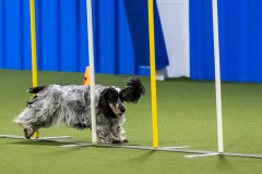 2023-AADTC-April-Trial-692