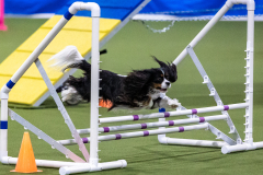 2023-AADTC-April-Trial-695