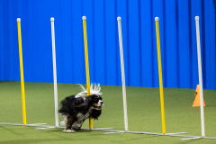 2023-AADTC-April-Trial-698