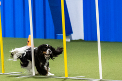 2023-AADTC-April-Trial-700