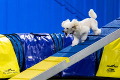 2023-AADTC-April-Trial-703