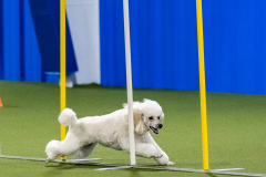 2023-AADTC-April-Trial-711