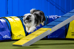 2023-AADTC-April-Trial-713