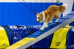 2023-AADTC-April-Trial-723