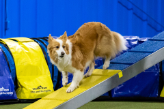 2023-AADTC-April-Trial-724