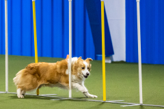 2023-AADTC-April-Trial-728