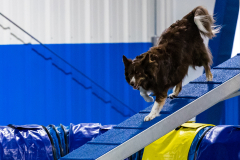 2023-AADTC-April-Trial-732