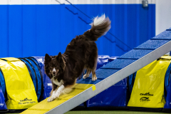 2023-AADTC-April-Trial-733