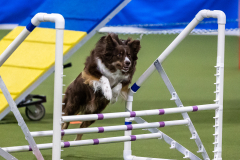 2023-AADTC-April-Trial-735