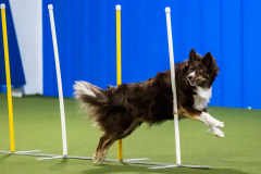 2023-AADTC-April-Trial-741