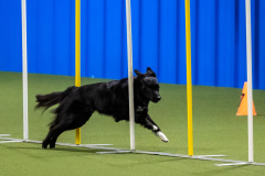 2023-AADTC-April-Trial-747