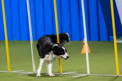 2023-AADTC-April-Trial-756