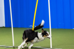 2023-AADTC-April-Trial-768