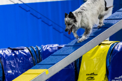 2023-AADTC-April-Trial-771