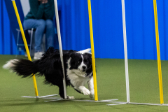 2023-AADTC-April-Trial-782