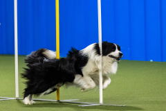 2023-AADTC-April-Trial-787