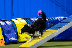 2023-AADTC-April-Trial-789