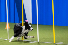 2023-AADTC-April-Trial-794