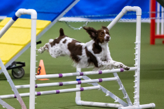 2023-AADTC-April-Trial-795