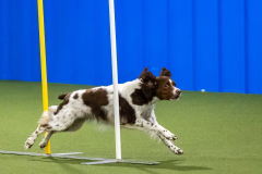 2023-AADTC-April-Trial-802