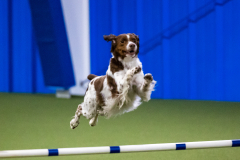 2023-AADTC-April-Trial-803