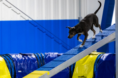 2023-AADTC-April-Trial-804