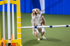 2023-AADTC-April-Trial-824