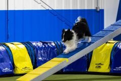 2023-AADTC-April-Trial-825