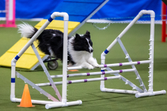 2023-AADTC-April-Trial-827