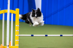 2023-AADTC-April-Trial-832