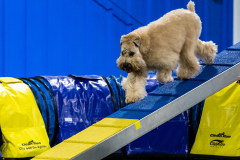 2023-AADTC-April-Trial-833