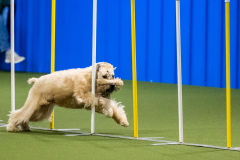 2023-AADTC-April-Trial-835