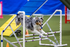 2023-AADTC-April-Trial-840