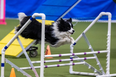 2023-AADTC-April-Trial-846