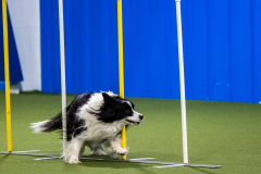 2023-AADTC-April-Trial-851