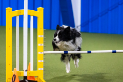 2023-AADTC-April-Trial-852