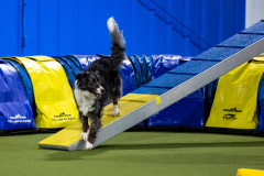 2023-AADTC-April-Trial-854