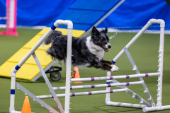 2023-AADTC-April-Trial-855