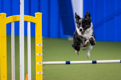 2023-AADTC-April-Trial-860